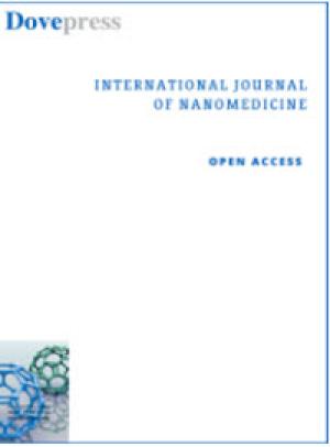 Bidirectional Enhancement of Cell Proliferation between Iron Oxide Nanoparticle-Labeled Mesenchymal Stem Cells and Choroid Plexus in a Cell-Based Therapy Model of Ischemic Stroke